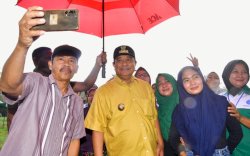 Warga Bantaeng Harap Tanaman Pisang Cavendish Ubah Perekonomian Petani