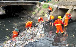 Wali Kota Danny Turun Langsung ke Kanal Bersihkan Sampah, Antisipasi Banjir di Musim Penghujan 