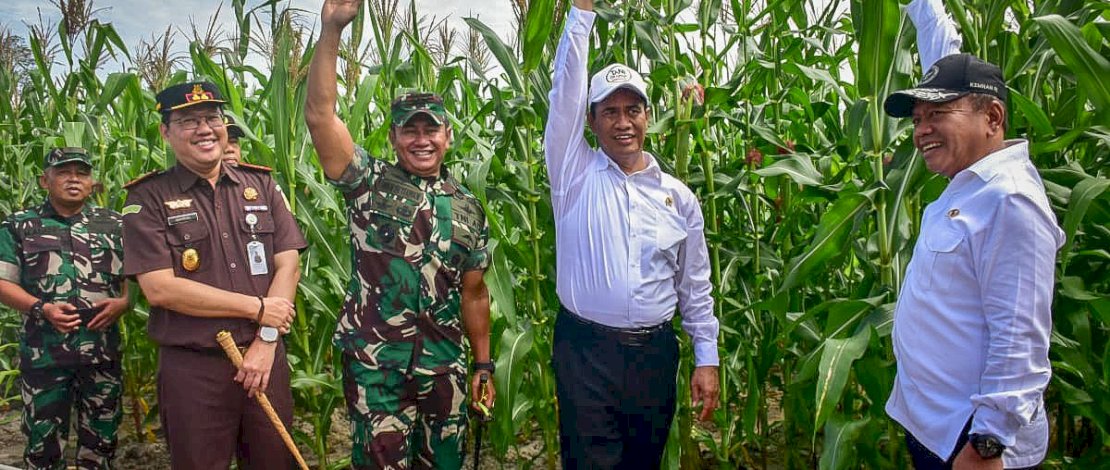 Menteri Pertanian Andi Amran Sulaiman berkunjung ke lahan Food Estate pertanaman jagung di Kabupaten Gunung Mas, Kalimantan Tengah. Menteri Pertanian Andi Amran Sulaiman berkunjung ke lahan Food Estate pertanaman jagung di Kabupaten Gunung Mas, Kalimantan Tengah.