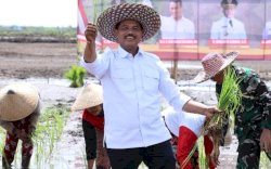 Kementan Gelar Gerakan Tanam Padi Pacu Akselerasi Food Estate di Pulpis Kalteng