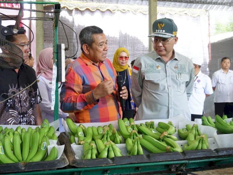Wamentan Dorong Pisang Blitar Tembus Pasar Ekspor Lewat Korporasi Petani