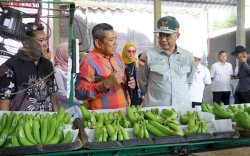 Wamentan Dorong Pisang Blitar Tembus Pasar Ekspor Lewat Korporasi Petani