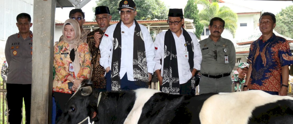 Wamentan Harvick Hasnul Qolbi saat meninjau peternakan sapi perah yang dikelola oleh Koperasi Unit Desa (KUD) Sembada, Kecamatan Puspo, Kabupaten Pasuruan, Jawa Timur. Wamentan Harvick Hasnul Qolbi saat meninjau peternakan sapi perah yang dikelola oleh Koperasi Unit Desa (KUD) Sembada, Kecamatan Puspo, Kabupaten Pasuruan, Jawa Timur.