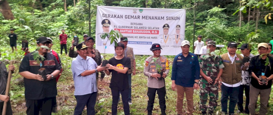 Bahtiar Baharuddin Targetkan Tanam 1 Juta Bibit Sukun di Sulsel 