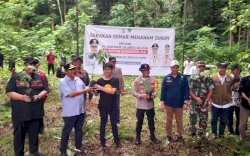 Bahtiar Baharuddin Targetkan Tanam 1 Juta Bibit Sukun di Sulsel 