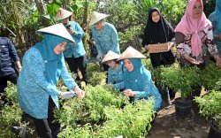 Sekretaris Umum PKK Pusat Puji Gerakan Tanam Cabai di Sulsel untuk Turunkan Inflasi