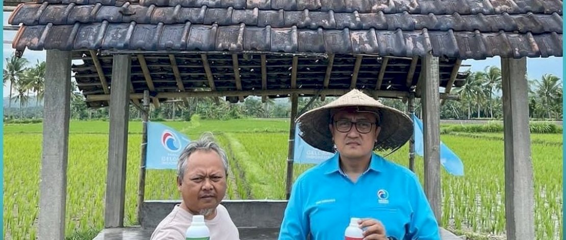Partai Gelora Luncurkan Program Peduli Petani dan Bagikan Pupuk Cair Gratis di Jember