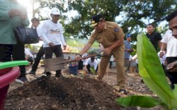 Dalam Tiga Bulan, Sudah 200 Ribu Pohon Lebih Pisang Cavendish Ditanam di Sulsel