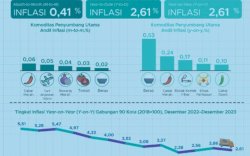 Cabai Masih Jadi Komoditi Utama Penyumbang Inflasi