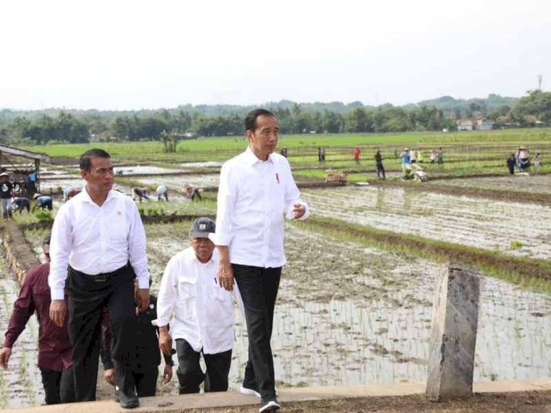 Presiden Ajak Petani Jawa Tengah Percepat Tanam di Bulan Januari 2024
