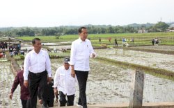 Presiden Ajak Petani Jawa Tengah Percepat Tanam di Bulan Januari 2024