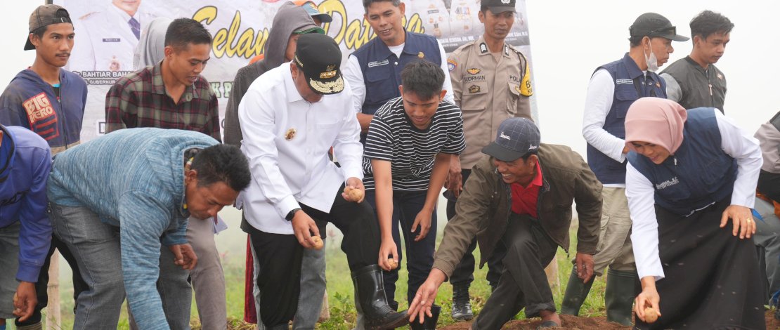 Penjabat Gubernur Sulsel, Bahtiar Baharuddin, bersama petani Kelurahan Pattapang, Kecamatan Tinggimoncong, Kabupaten Gowa, melakukan penanaman kentang. Penjabat Gubernur Sulsel, Bahtiar Baharuddin, bersama petani Kelurahan Pattapang, Kecamatan Tinggimoncong, Kabupaten Gowa, melakukan penanaman kentang.
