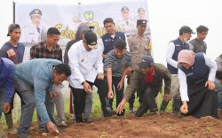 Pj Gubernur Sulsel Ikut Tanam Kentang Bersama Petani Tinggimoncong