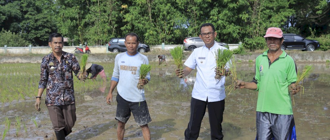 Pj. Bupati Takalar Turun Tangan Atasi Krisis Pupuk di Musim Tanam