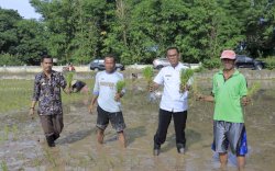 Pj. Bupati Takalar Turun Tangan Atasi Krisis Pupuk di Musim Tanam