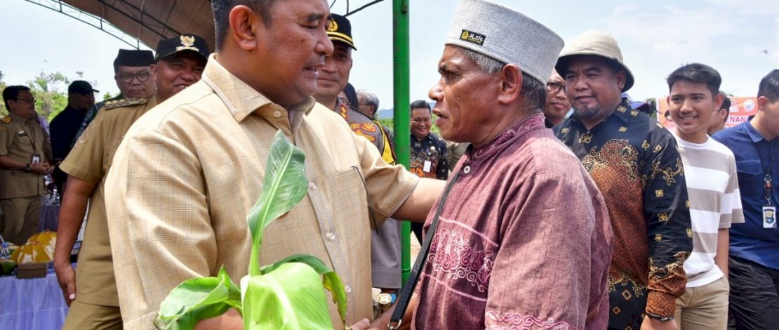 Petani di Luwu Timur menyambut baik program budidaya pisang cavendish yang digalakkan Pj Gubernur Sulsel, Bahtiar Baharuddin. Petani di Luwu Timur menyambut baik program budidaya pisang cavendish yang digalakkan Pj Gubernur Sulsel, Bahtiar Baharuddin.