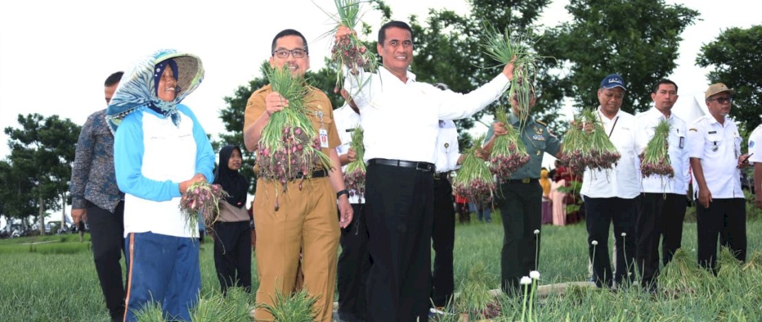 Menteri Pertanian Andi Amran Sulaiman menghadiri panen raya bawang merah di Kabupaten Brebes, Jawa Tengah. Menteri Pertanian Andi Amran Sulaiman menghadiri panen raya bawang merah di Kabupaten Brebes, Jawa Tengah.