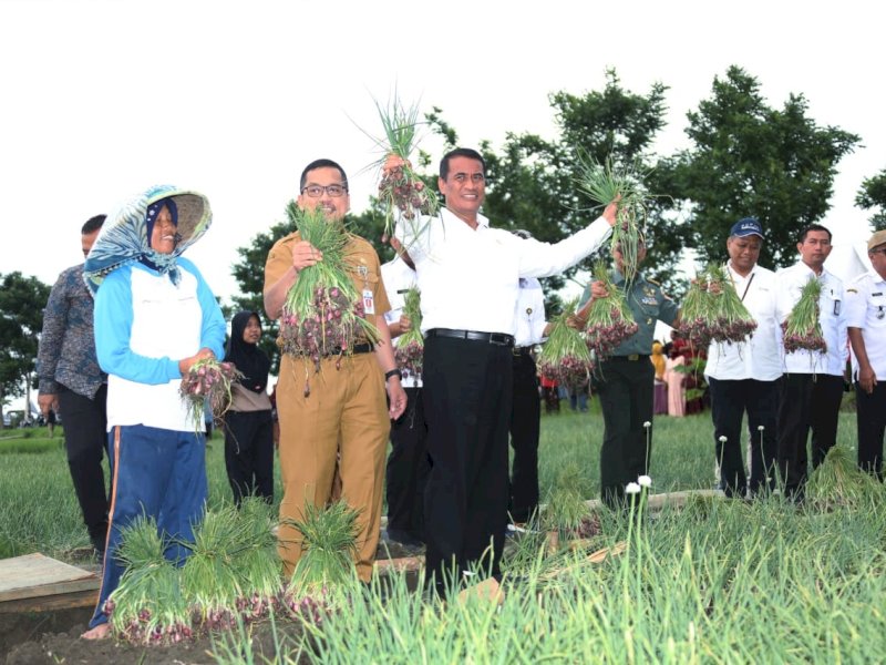 Mentan Amran Panen Bawang Merah di Kabupaten Brebes