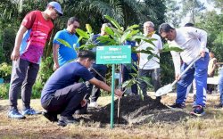 Terima Saran Pj Gubernur Sulsel, PT Vale Akan Tanam Sukun untuk Rehabilitasi Lahan Tambang
