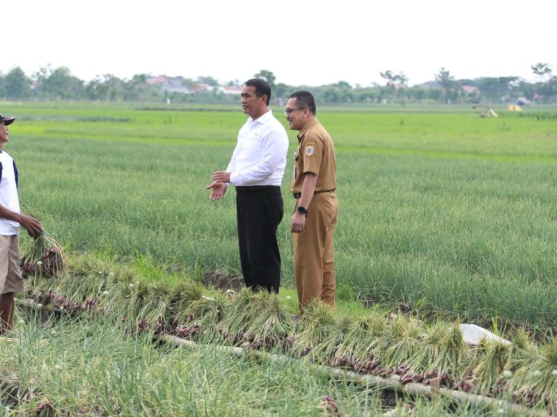 Akademisi UB Dukung Kebijakan Pemerintah Tingkatkan Anggaran Pupuk Subsidi