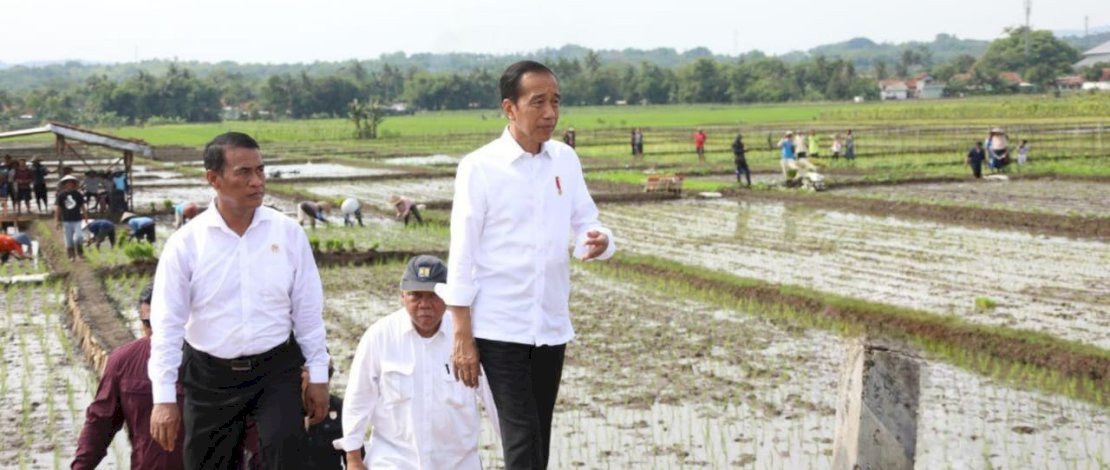 Menteri Pertanian telah menangkap kegelisahan petani di seluruh pelosok daerah yang meminta kepastian ketersediaan pupuk bersubsidi dan langsung mengusulkan anggaran tambahan.