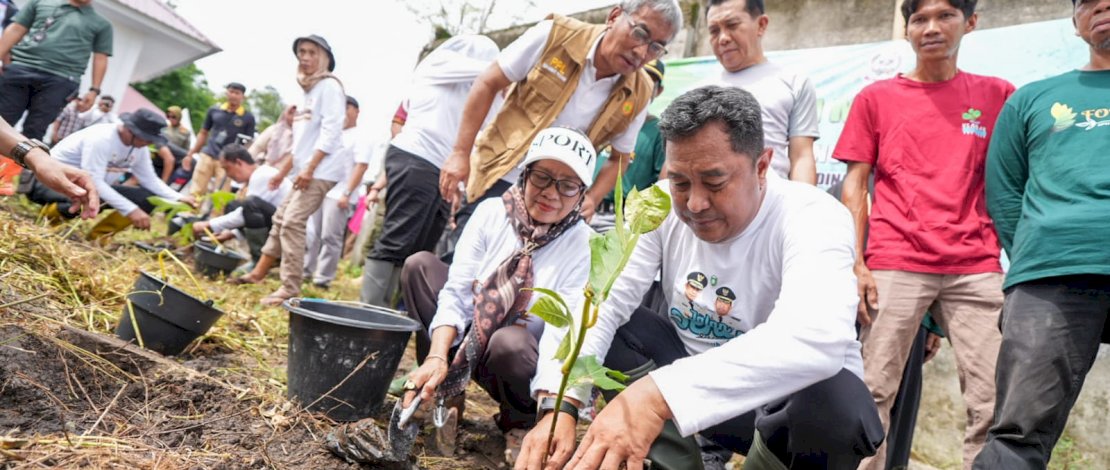 Penjabat Gubernur Sulsel Bahtiar Baharuddin dan Penjabat Wali Kota Parepare Akbar Ali, bersama petani di Kota Parepare, melakukan penanaman cabai dan sukun di lahan Dinas Ketahanan Pangan dan Pertanian Kota Parepare, Selasa, 9 Januari 2024. 