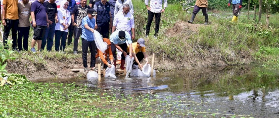 Pj Gubernur Tebar 20 Ribu Bibit Ikan Nila di Bone