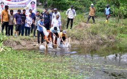 Pj Gubernur Tebar 20 Ribu Bibit Ikan Nila di Bone