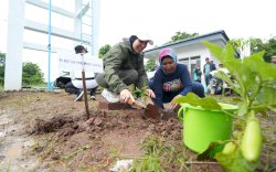 Optimalkan Lahan Tidur, Taman MoI dan Kawasan BSO Ditanami Sukun