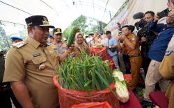 Tidak Hanya Pembeli, Pedagang Turut Diuntungkan Program Gelar Pangan Murah 