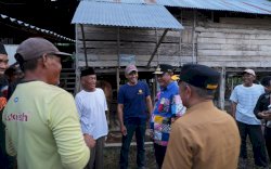 Dorong Inseminasi Buatan, Pemprov Sulsel Jadikan Limbah Cavendish Alternatif Pakan Ternak