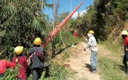 Gandeng PMN, 221 Desa Wilayah 3T di Sulselrabar Nikmati Listrik 24 Jam PLN