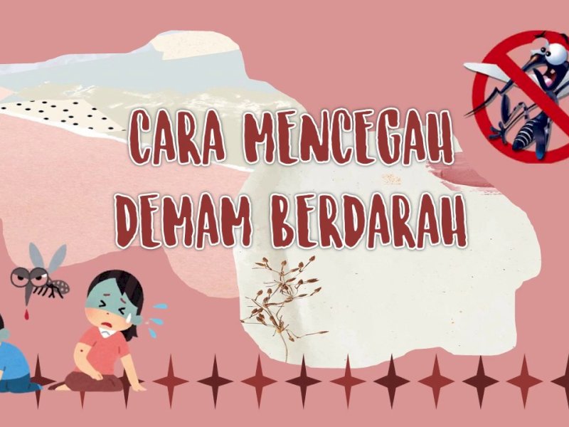 DBD Mengintai Selama Musim Hujan, Begini Langkah Pencegahannya