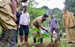 Bantimurung Terpilih Sebagai Sasaran Program Budidaya Sukun Pemprov Sulsel