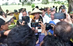 Kementan dan Bapanas Ajak Stakeholder Sambut Panen Raya 2024