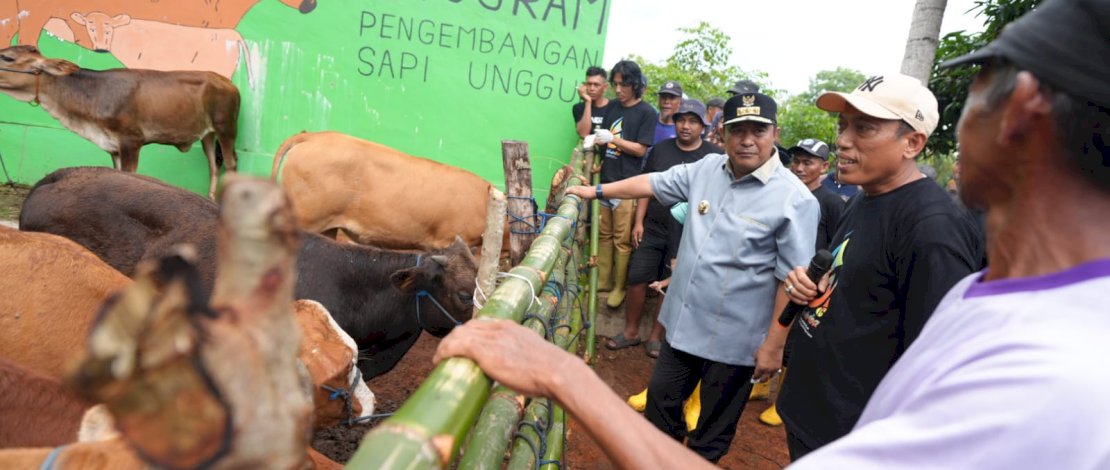 Penjabat Gubernur Sulsel, Bahtiar Baharuddin, saat berkunjung ke Desa Palambarae, Kecamatan Gantarang, Kabupaten Bulukumba, Minggu, 4 Februari 2024. Penjabat Gubernur Sulsel, Bahtiar Baharuddin, saat berkunjung ke Desa Palambarae, Kecamatan Gantarang, Kabupaten Bulukumba, Minggu, 4 Februari 2024.