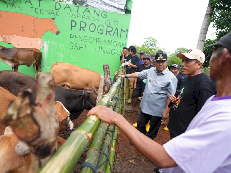 Inseminasi Buatan Jadi Harapan Baru Peternak Bulukumba untuk Tingkatkan Produksi