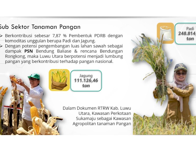 Kawasan Perkotaan Sukamaju Ditetapkan Sebagai Kawasan Agropolitan Tanaman Pangan