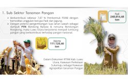 Kawasan Perkotaan Sukamaju Ditetapkan Sebagai Kawasan Agropolitan Tanaman Pangan