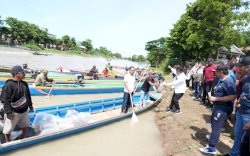 Program Ketahanan Pangan Pemprov Sulsel, Jutaan Benih Ikan Ditebar di Danau Tempe
