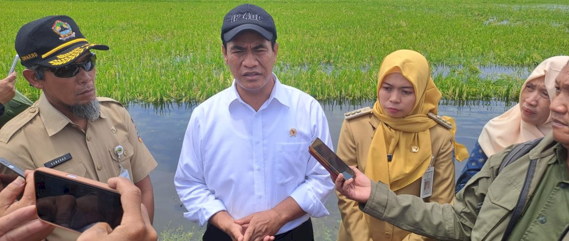 Mentan Amran Sulaiman Mentan Amran Sulaiman