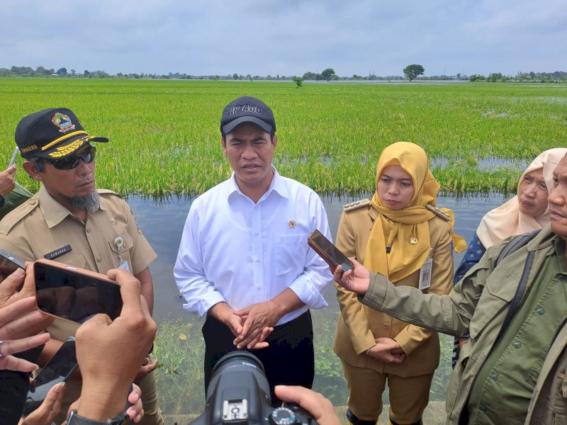 Lapor Presiden, Mentan Pastikan Produksi Padi dan Jagung Berjalan Baik