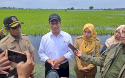 Lapor Presiden, Mentan Pastikan Produksi Padi dan Jagung Berjalan Baik