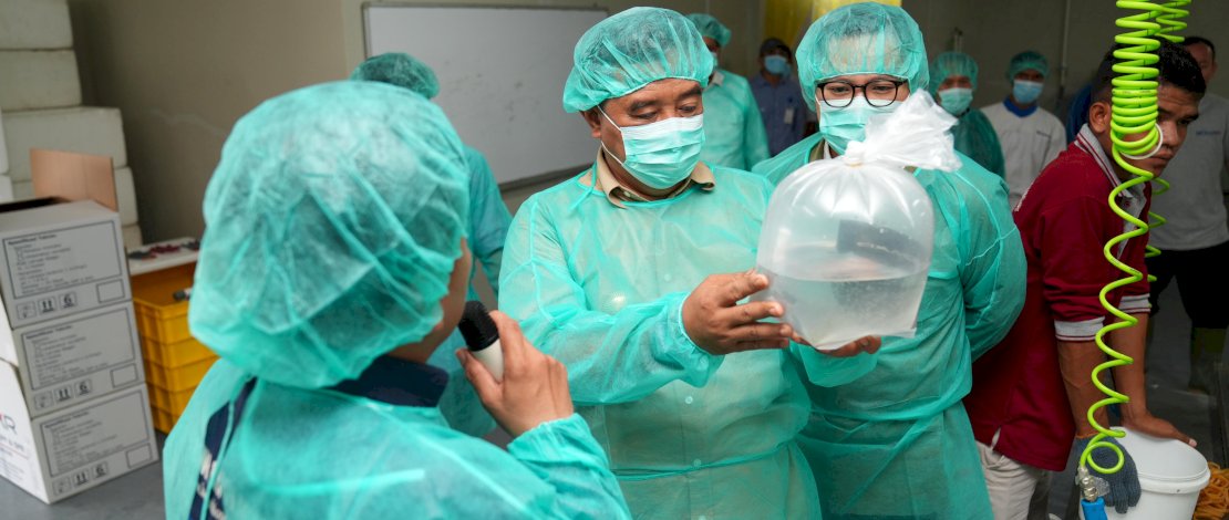 Pemprov Sulsel - PT Bomar Kembangkan Benur Udang untuk Warga Pesisir