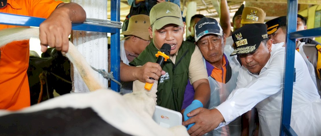 Pj Gubernur Bahtiar, menyaksikan proses Inseminasi Buatan (IB), di Desa Cendana, Kecamatan Cendana, Kabupaten Enrekang, Senin, 19 Februari 2024. Pj Gubernur Bahtiar, menyaksikan proses Inseminasi Buatan (IB), di Desa Cendana, Kecamatan Cendana, Kabupaten Enrekang, Senin, 19 Februari 2024.