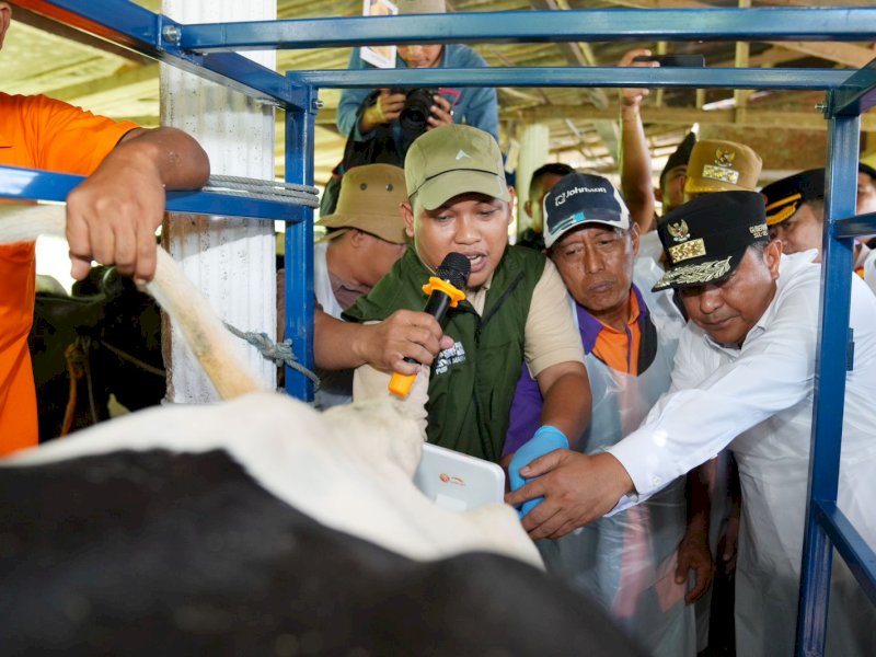 Melalui Inseminasi Buatan, Pj Gubernur Sulsel Target Enrekang Jadi Sentral Sapi Perah 