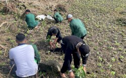 Peduli Lingkungan, Aksi Studi Lapang UNSA Makassar di Bantaeng Diisi Penanaman Pohon