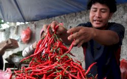 Pasokan Cabai Dijamin Aman Jelang Ramadan