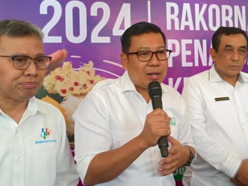 Pemerintah Tambah Kuota Impor Beras 1,6 Juta Ton, Bapanas: Untuk Antisipasi