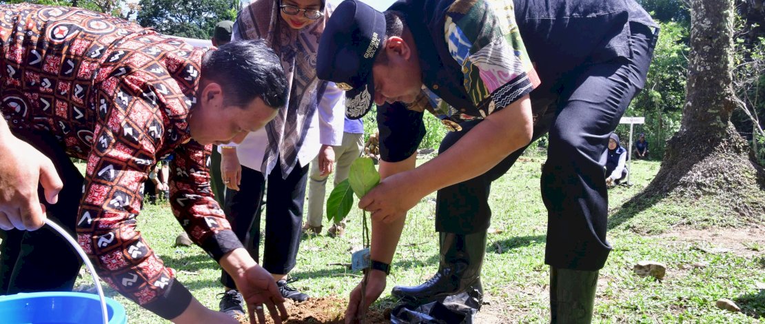 Bahtiar Baharuddin Dorong Pangkep Jadi Penghasil Nangka Madu Bahtiar Baharuddin Dorong Pangkep Jadi Penghasil Nangka Madu